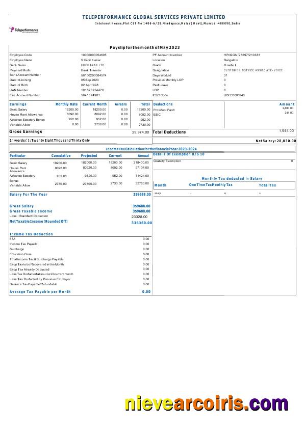 Teleperformance Global Services Payslip Preview