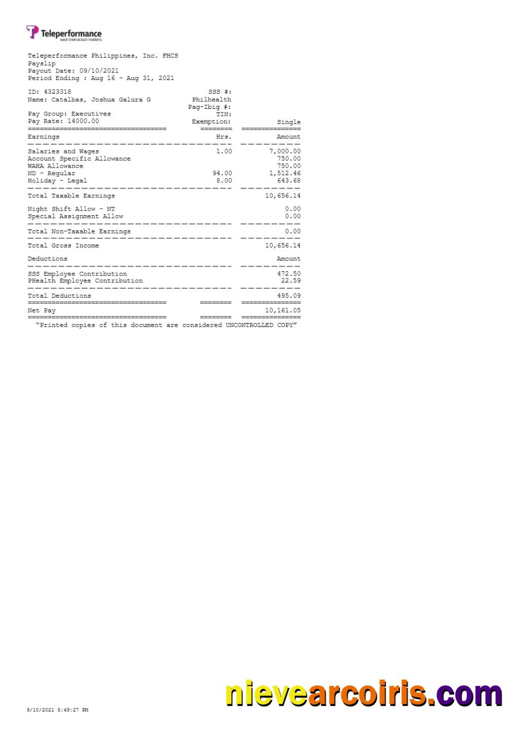 Premium Teleperformance Philippines Payslip Template In Word And PDF Formats.pdf, 1