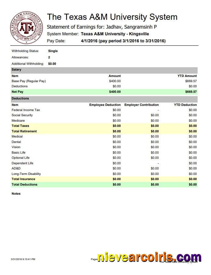 Realistic The Texas A&M University System Earnings Statement Word And PDF Template