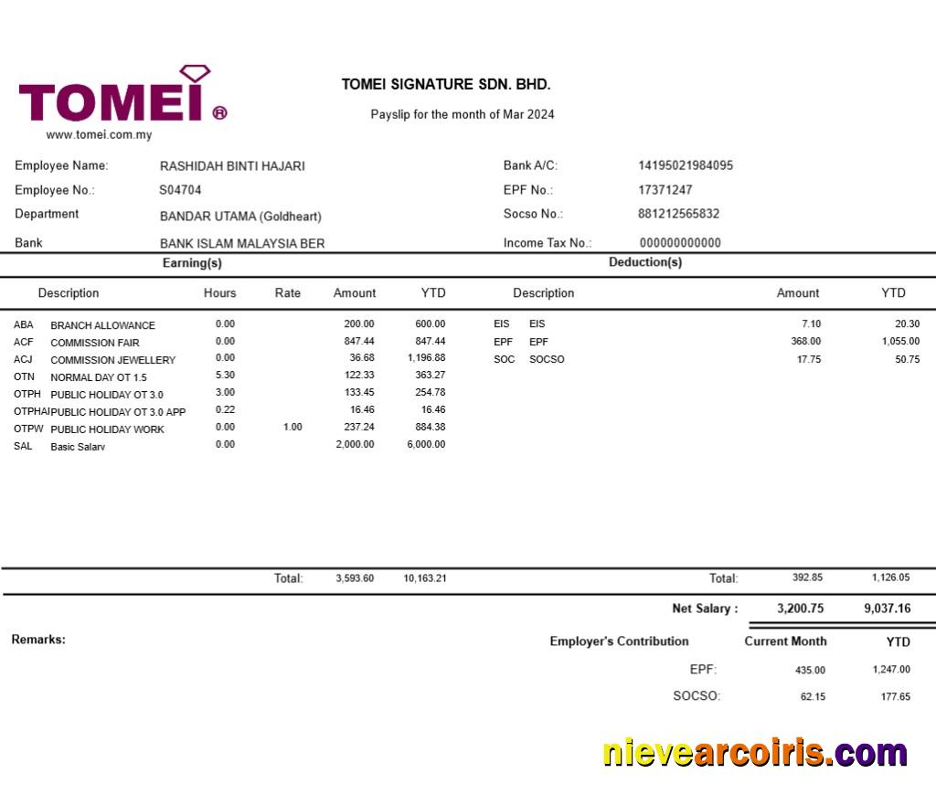 Premium Tomei Signature Jewellery Payslip Template In Word And PDF Formats.pdf, 1