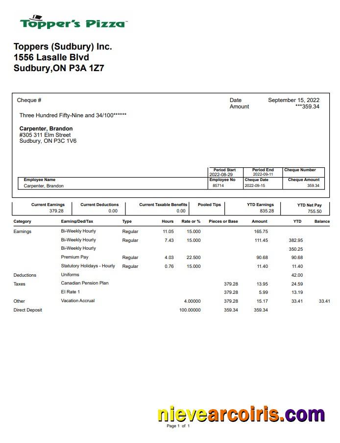 Topper's Pizza Pay Stub Preview