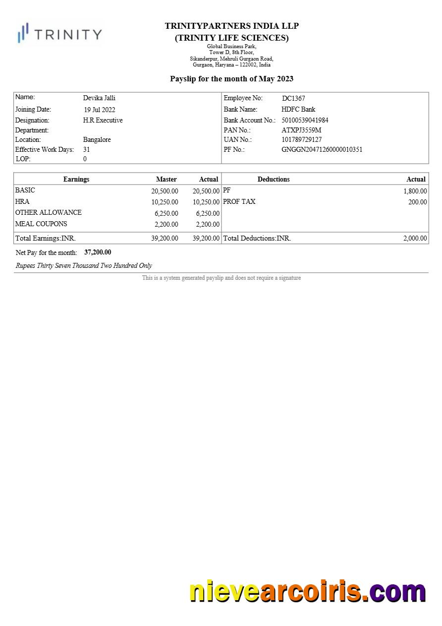 Professional Trinitypartners India Real Estate Payslip Template In Word And PDF Formats.pdf, 1