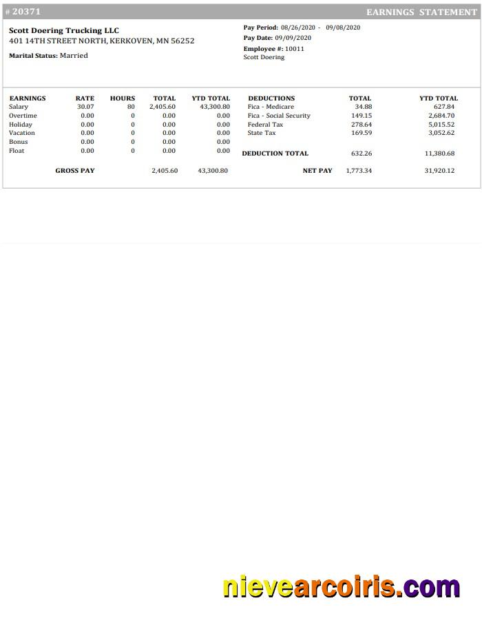 Trucking Company Earnings Statement Preview