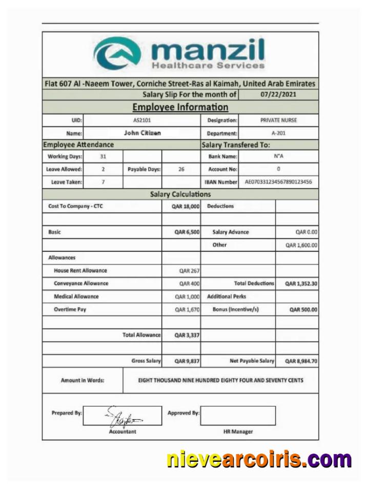 UAE MANZIL Healthcare Services Salary Slip In Word And PDF Formats Photolook