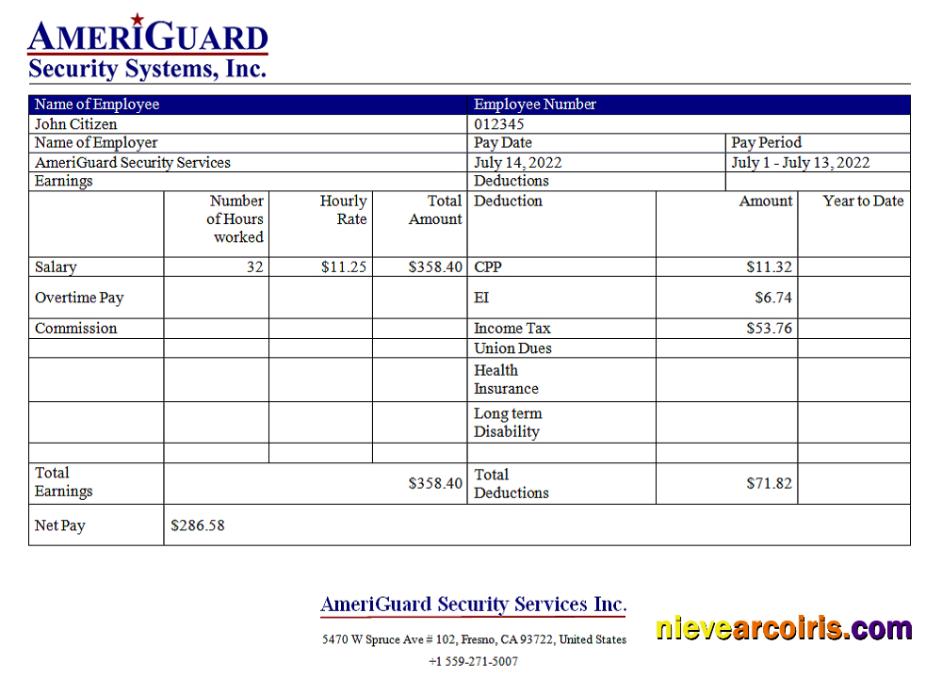 USA AmeriGuard Security Services Inc Security Company Template
