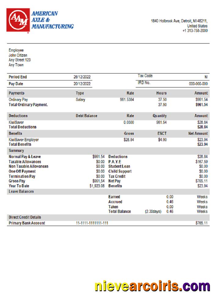 USA American Axle Manufacturing Company Sample