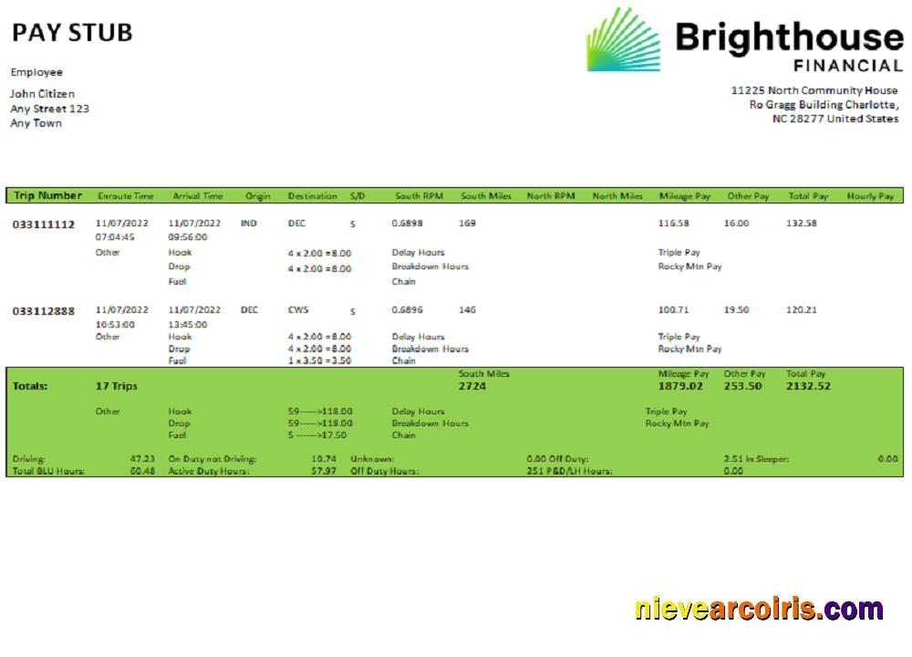 USA Brighthouse Financial Financial Company Template
