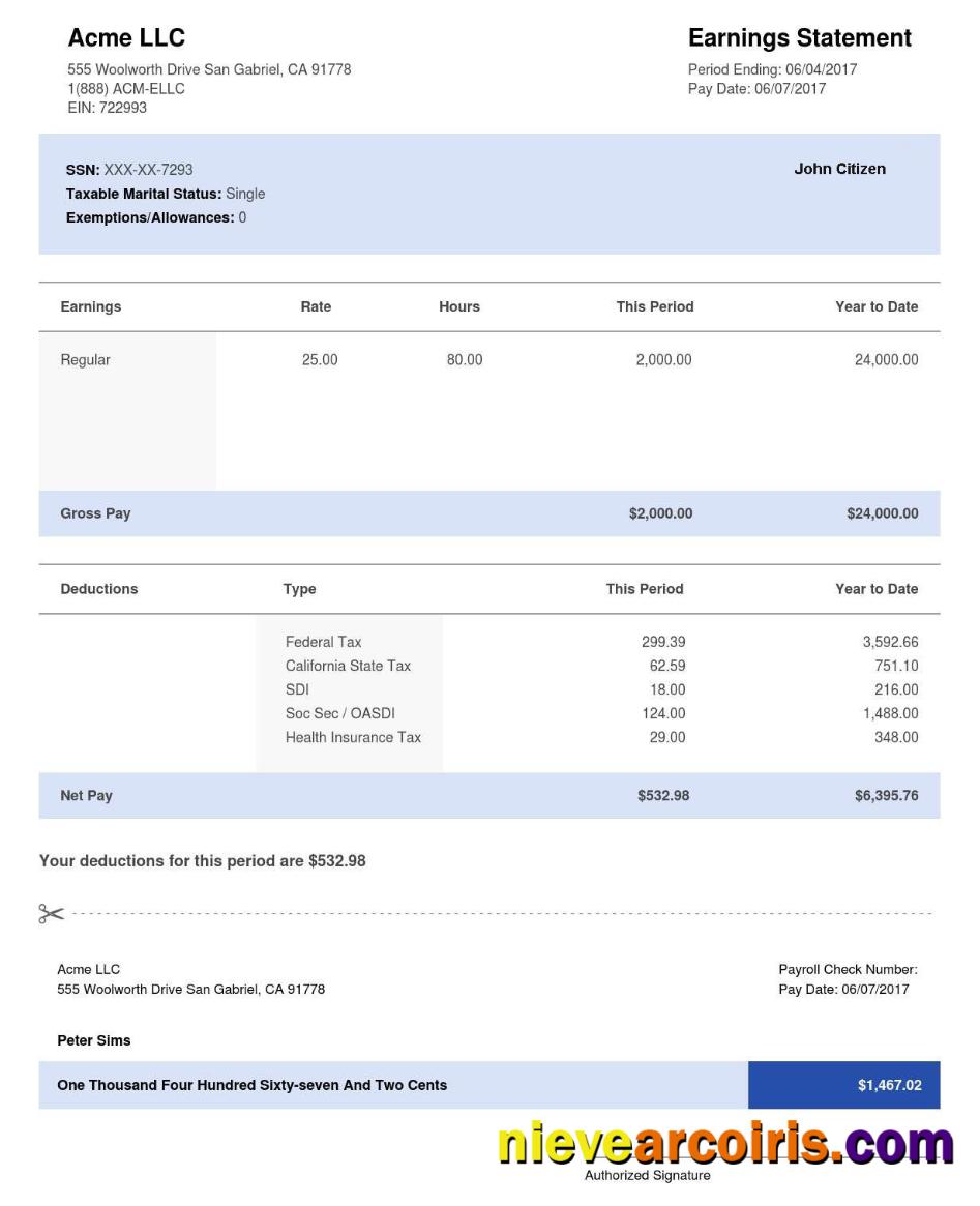 USA CALIFORNIA ACME LLC Earning Statement In Word And Pdf Formats Photolook