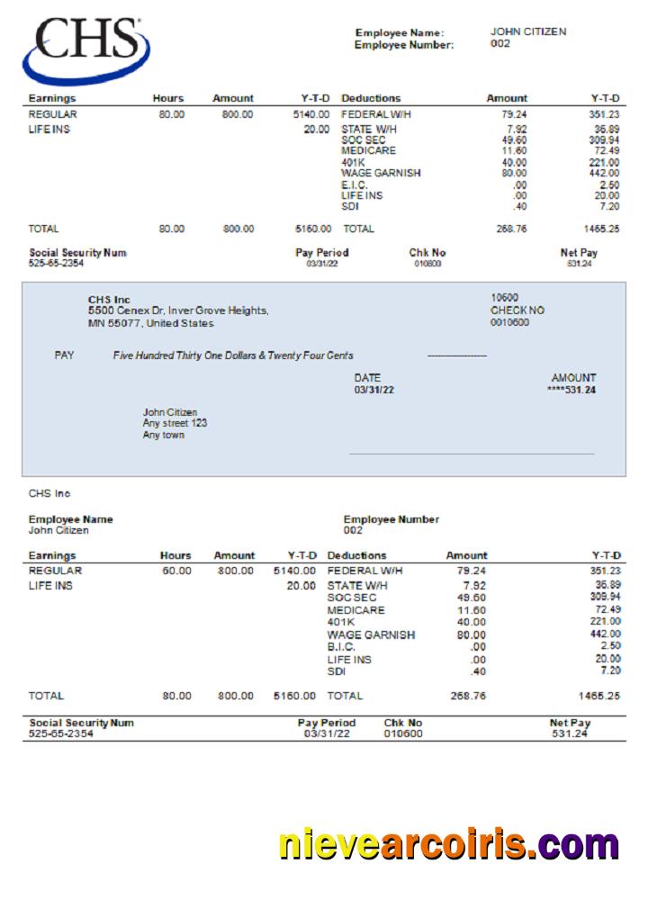 USA CHS Inc. Agricultural Company Preview
