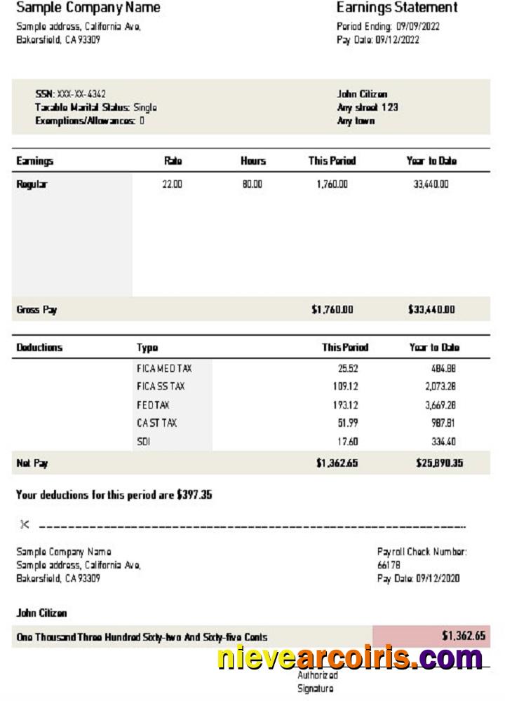USA California Earnings Statement Photolook