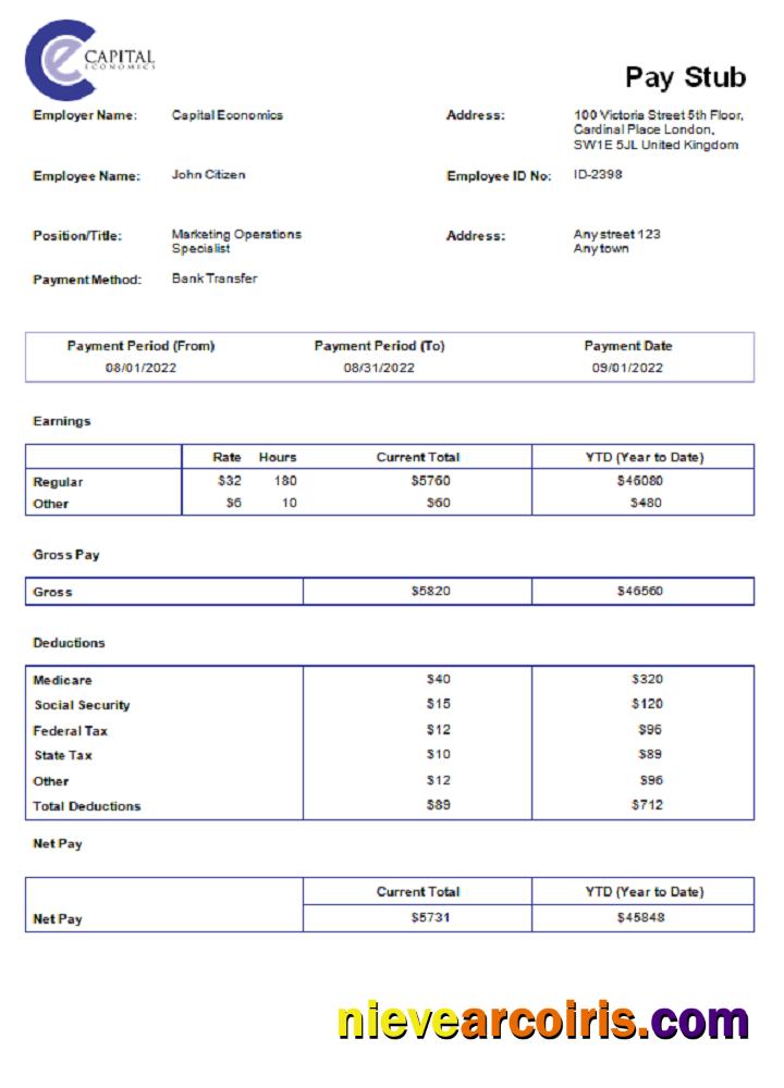USA Capital Economics Economic Company Preview