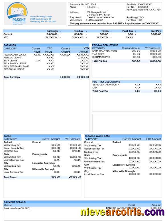 USA DIXON University Center Paystub In Word And PDF Formats Photolook