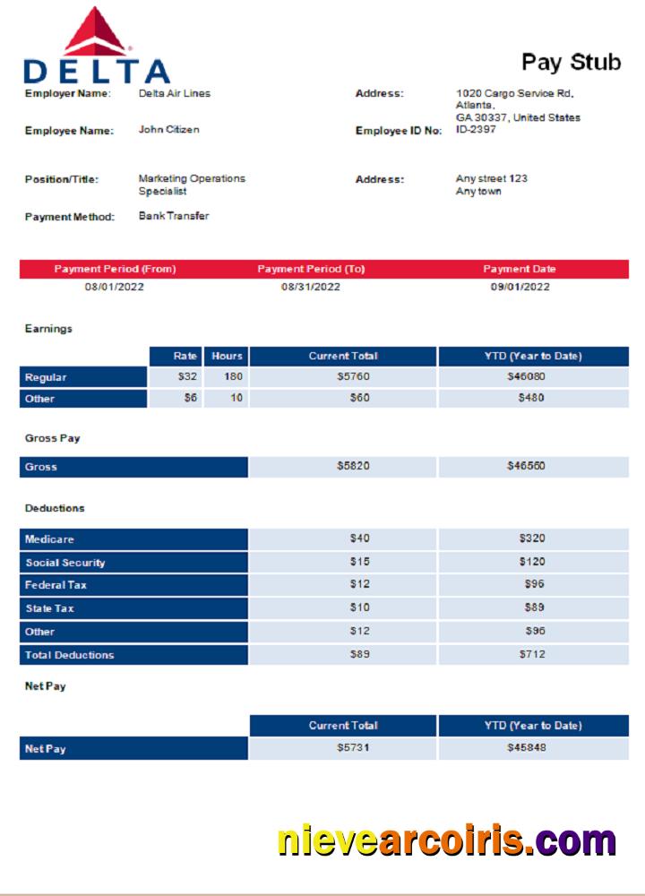 USA Delta Air Lines Airlines Company Pay Stub Template