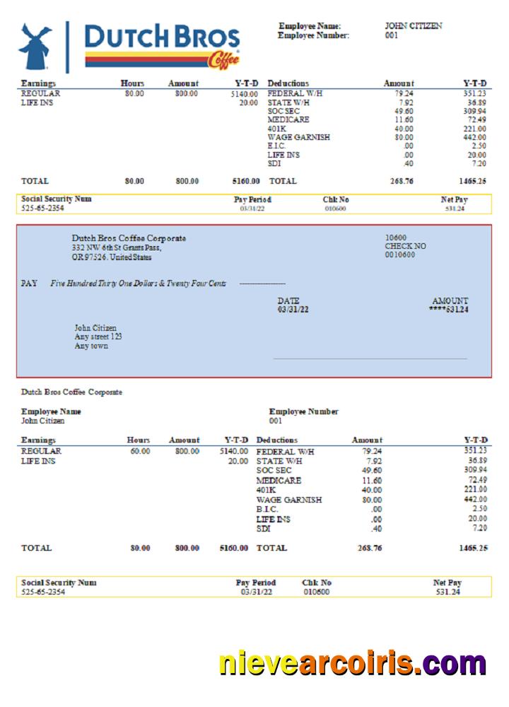 USA Dutch Bros Coffee Corporate Coffeehouse Company Pay Stub Template