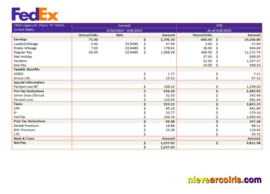 USA Fedex Transportation Company Pay Stub Photolook