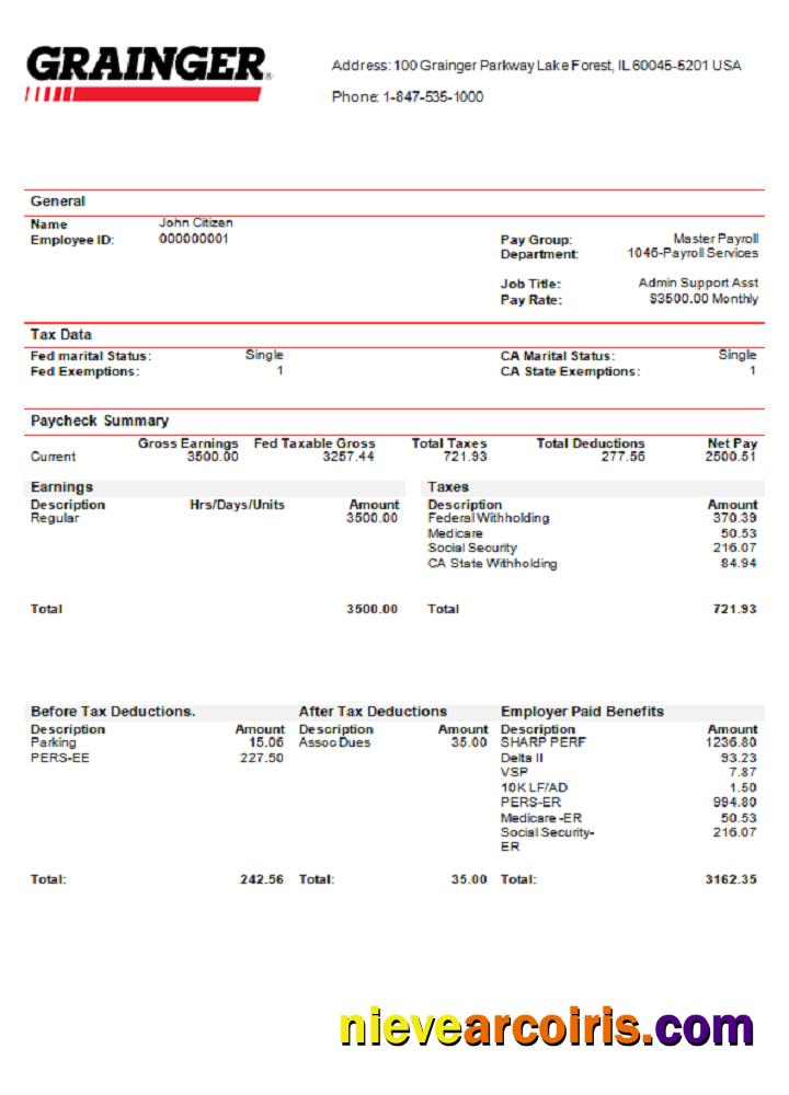 USA Grainger Industry Company Pay Stub Sample