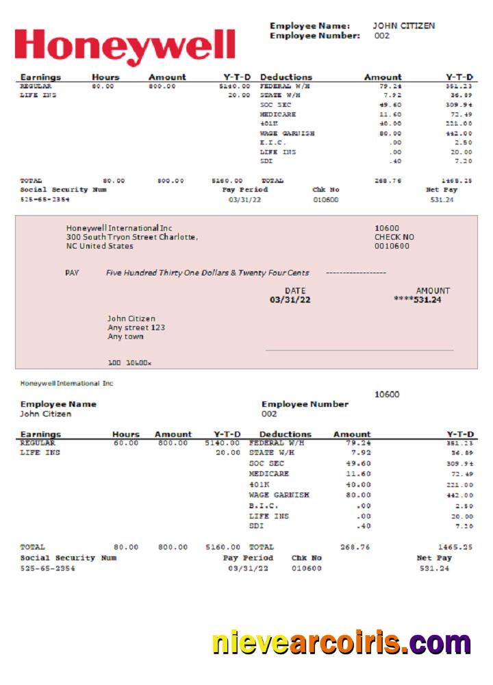 USA Honeywell Conglomerate Company Pay Stub Word Preview