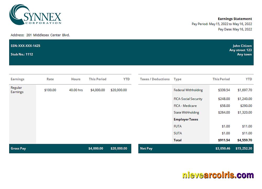 USA IT Consulting Company Employee Sheet Sample