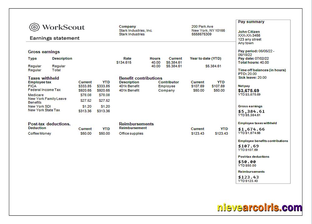 Professional USA IT Technologies Company Earning Statement Template In Word And PDF Format