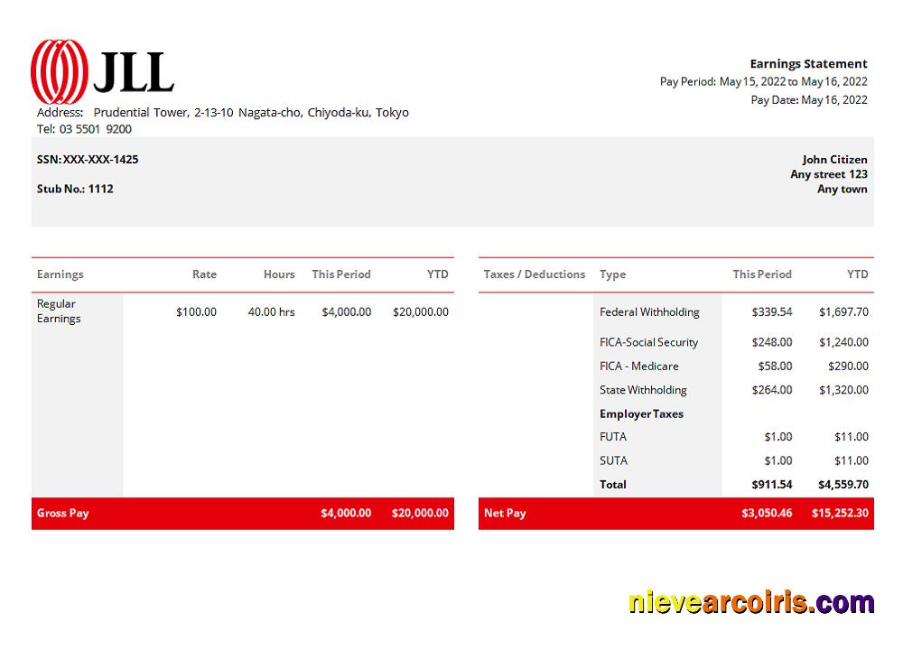 USA JLL Real Estate Company Pay Stub Word Preview