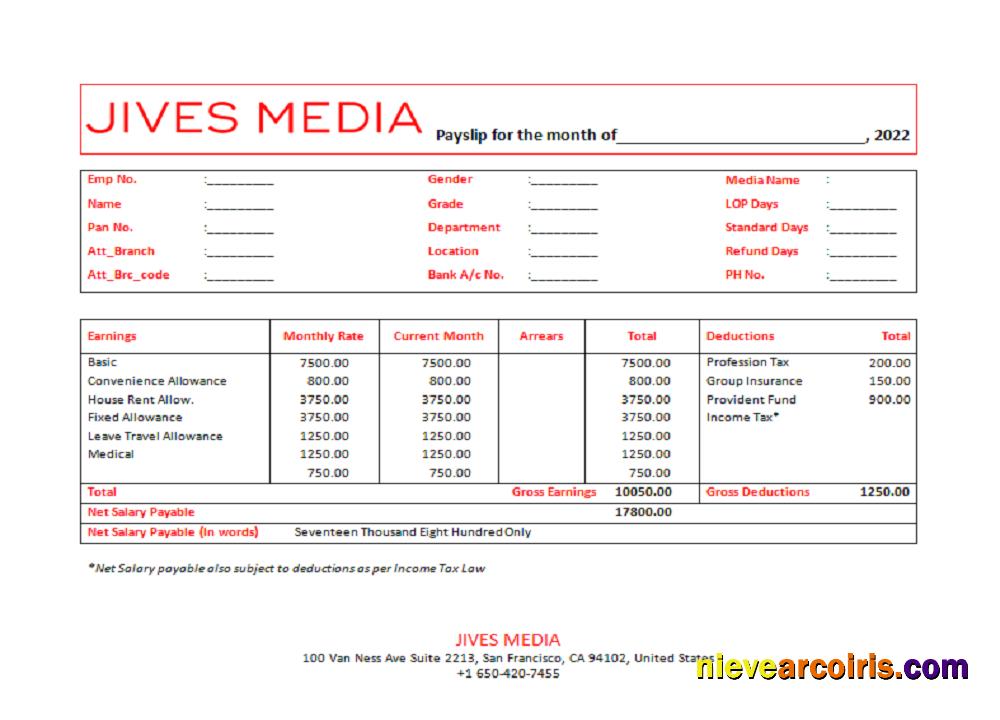 USA Jives Media Advertising Company Pay Stub Sample