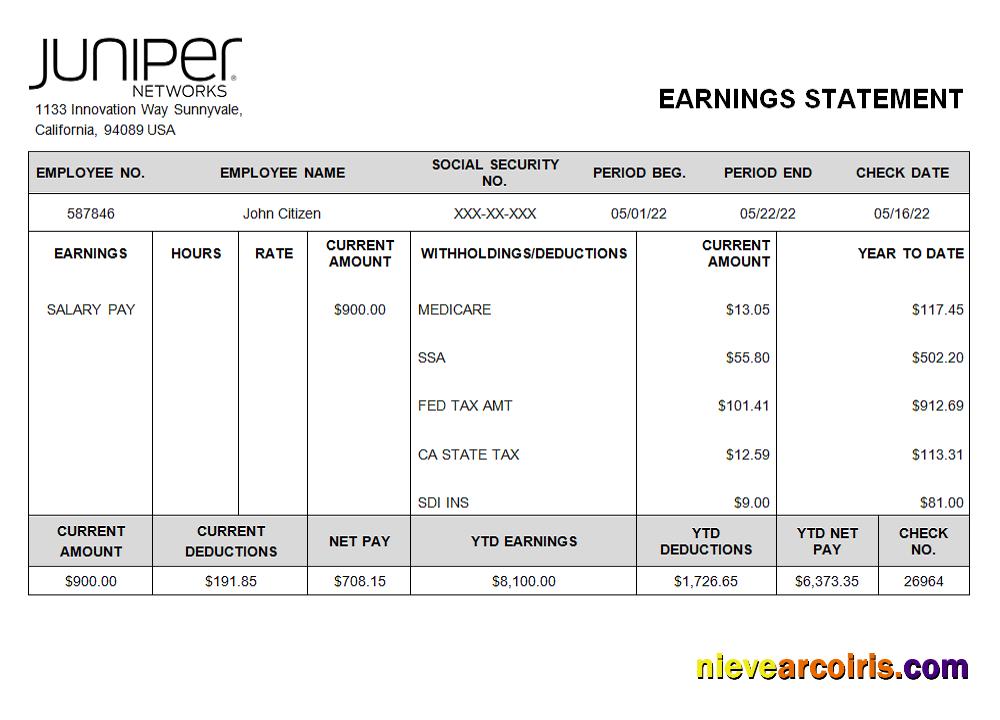 USA Juniper Networking Company Pay Stub Photolook