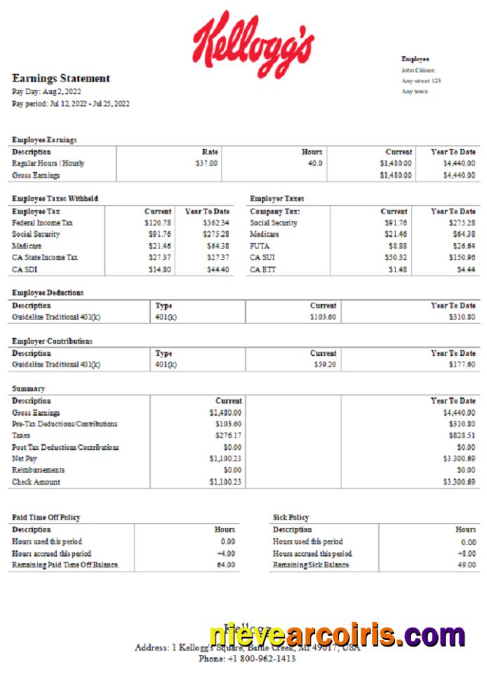 USA Kellog Food Processing Company Pay Stub Photolook