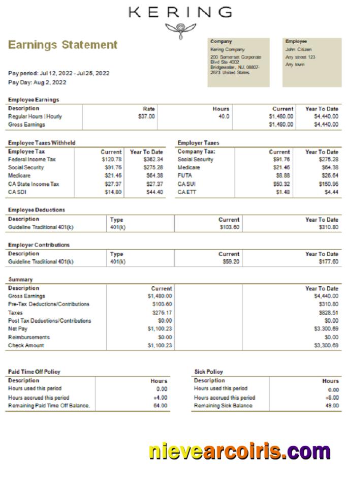 USA Kering Luxury Goods Company Pay Stub Preview