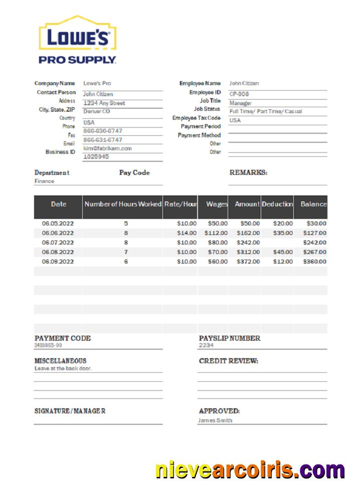USA Lowe’s Pro Supply Wholesale Company Pay Stub Photolook