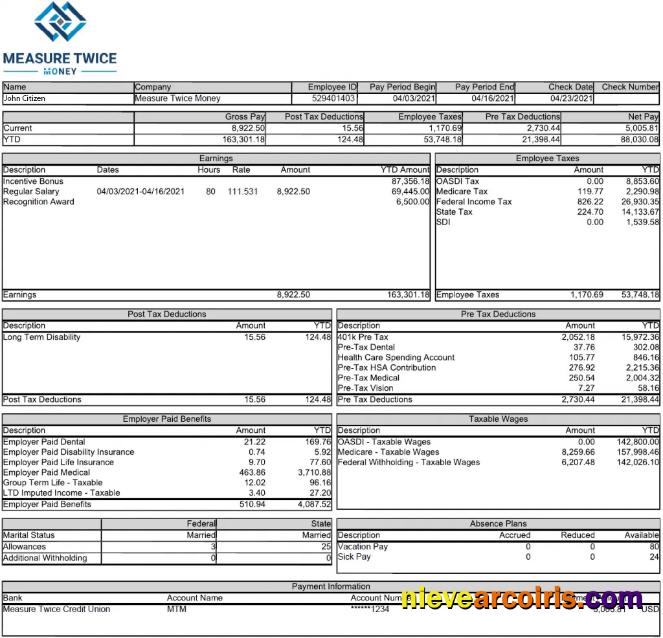 Realistic USA MEASURE Twice Financia Payslip Template In Word And PDF