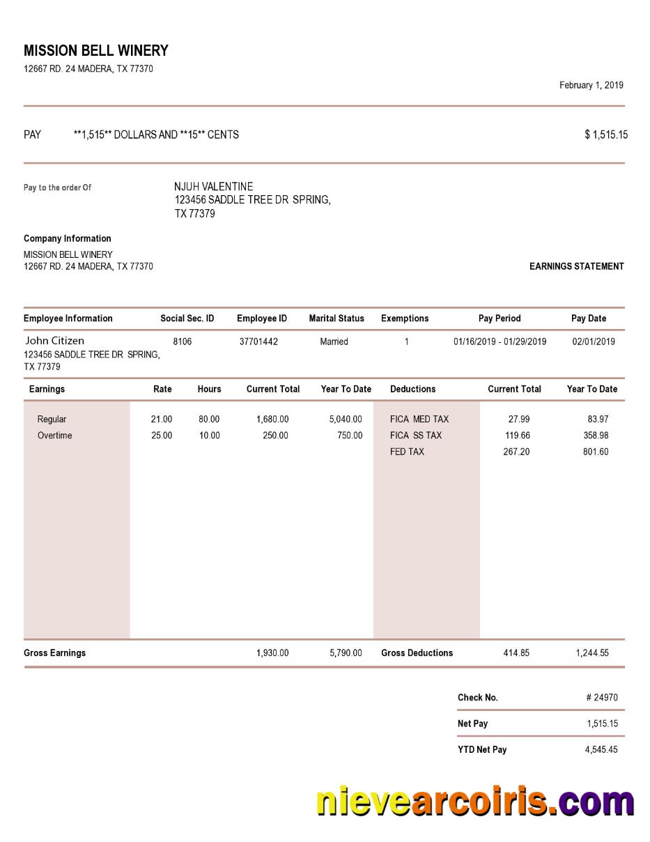 USA MISSION Bell Winery Earning Statement In Word And PDF Formats Photolook