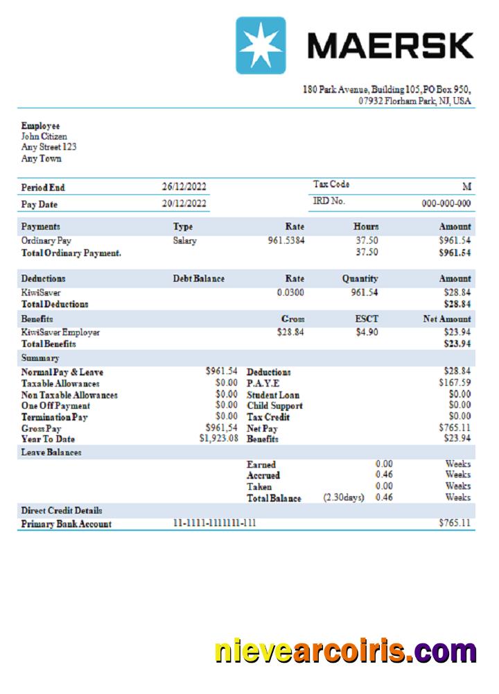 USA Maesk Shipping Company Pay Stub Preview