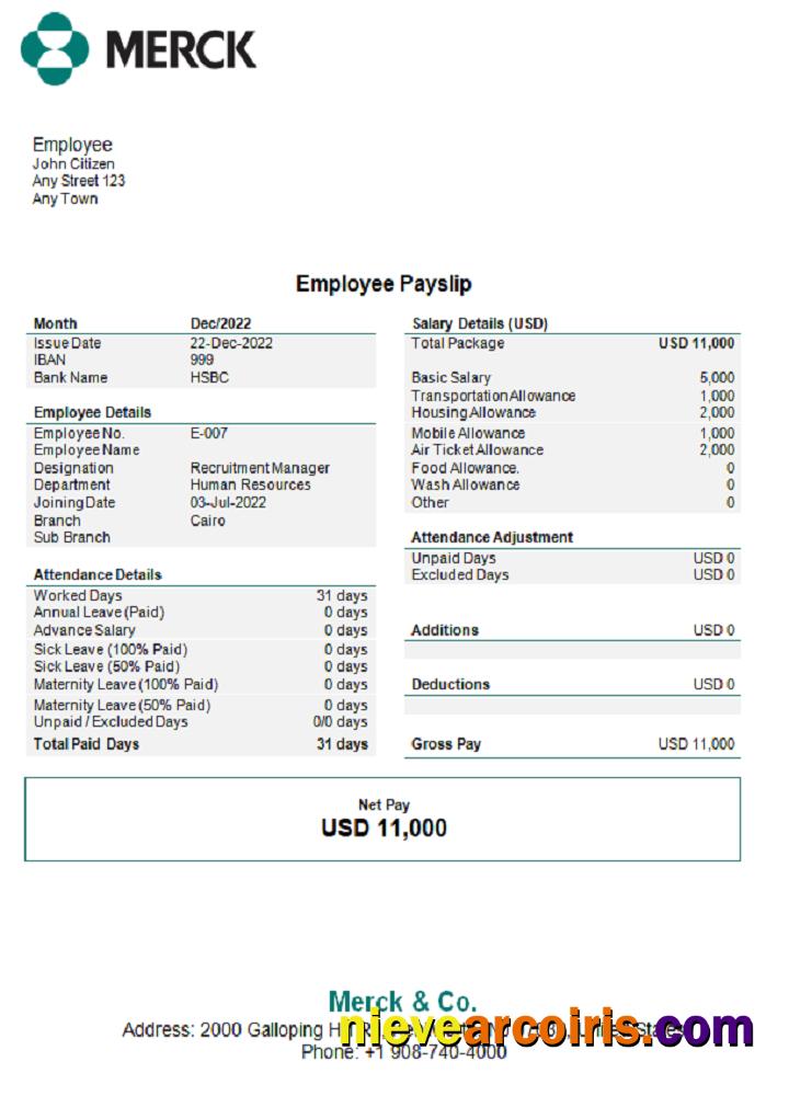 USA Merck & Co. Pharmaceutical Company Pay Stub Photolook