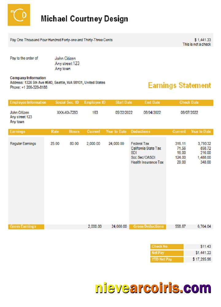 USA Michael Courtney Design Graphic Company Pay Stub Template