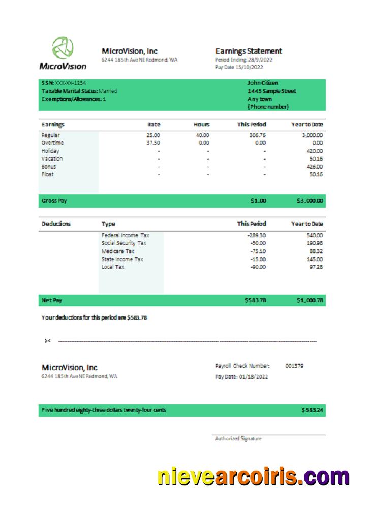 USA MicroVision Informational Company Pay Stub Preview
