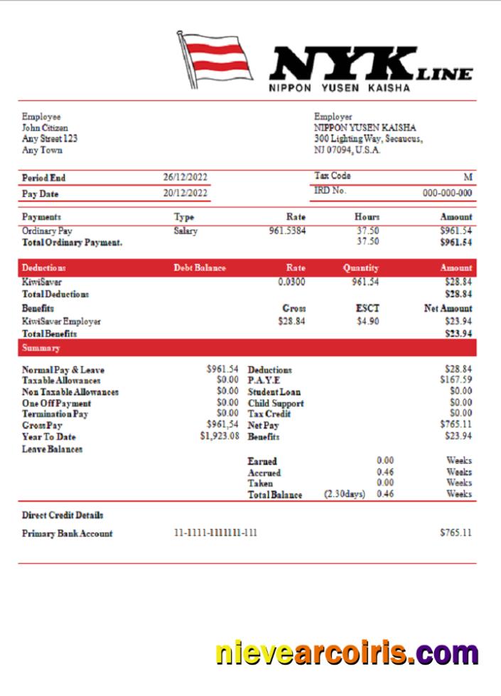 USA NIPPON YUSEN KAISHA Shipping Company Pay Stub Preview