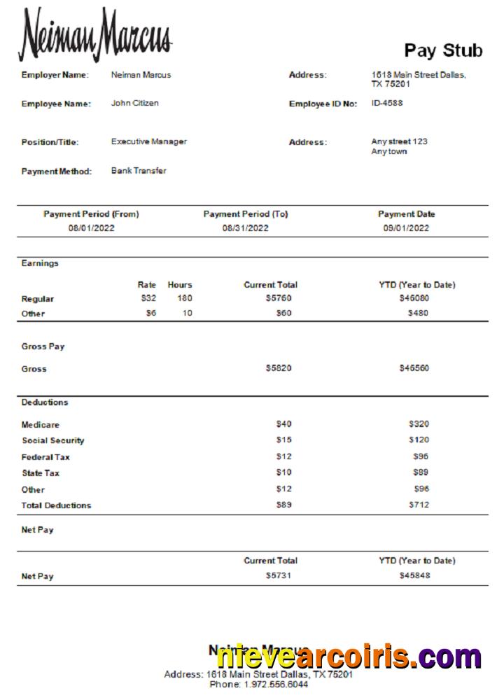 USA Neiman Marcus Department Store Company Pay Stub Preview