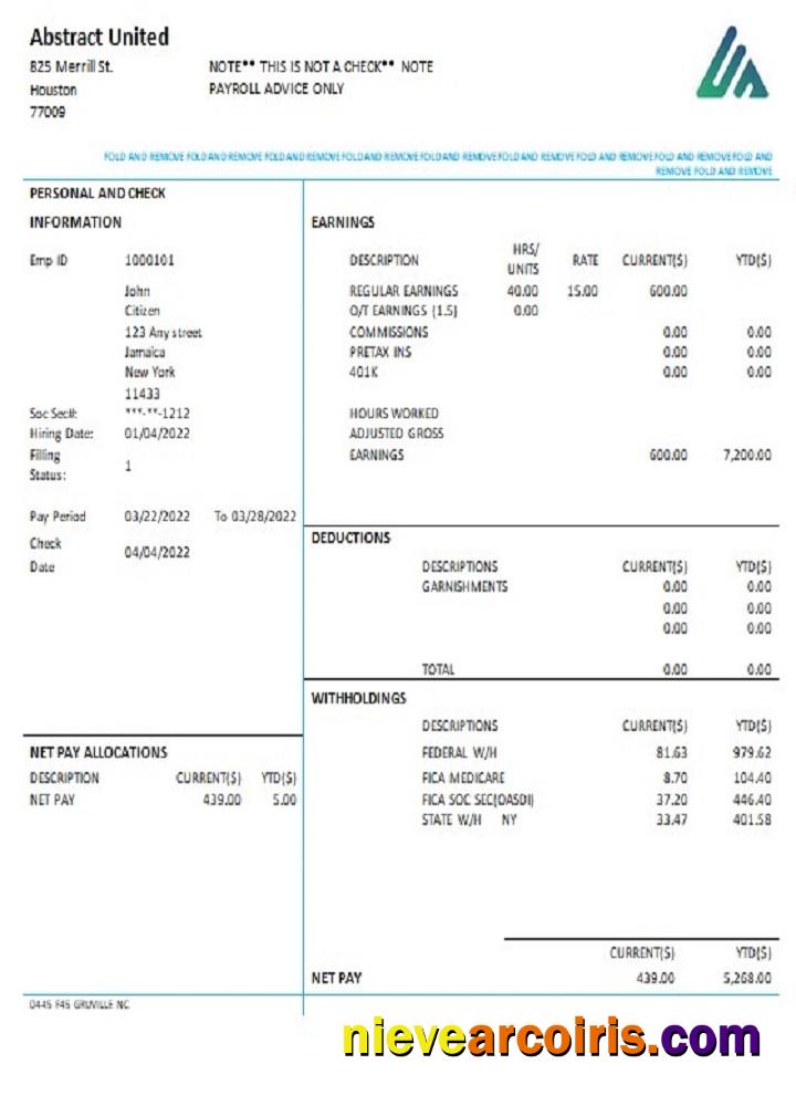 USA New York Abstract United Pay Stub Sample