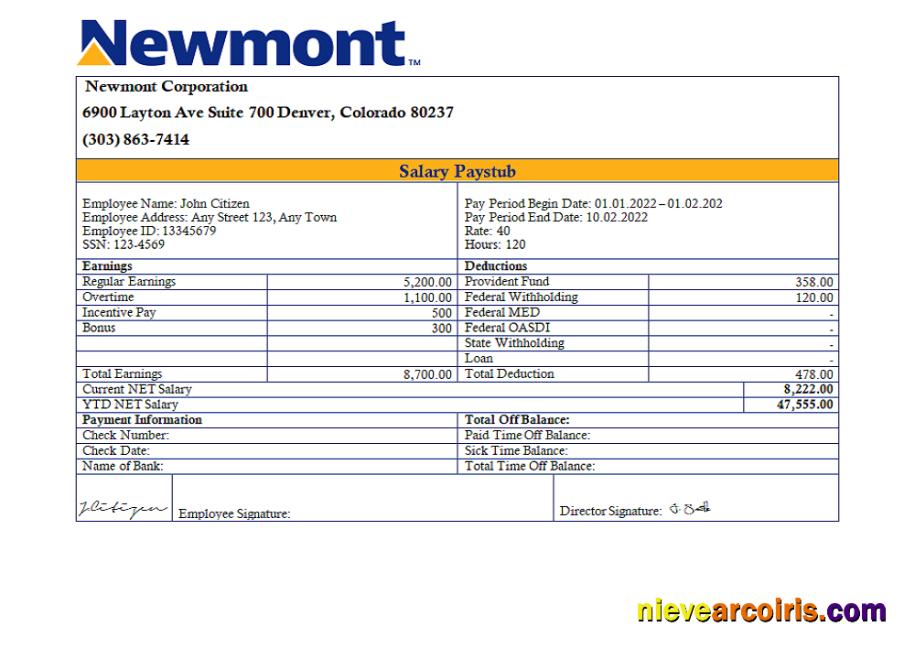 USA Newmont Corporation Mining Company Pay Stub Sample
