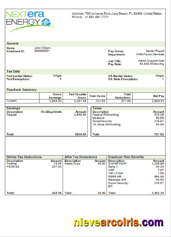 USA NextEra Energy Electric Company Pay Stub Sample