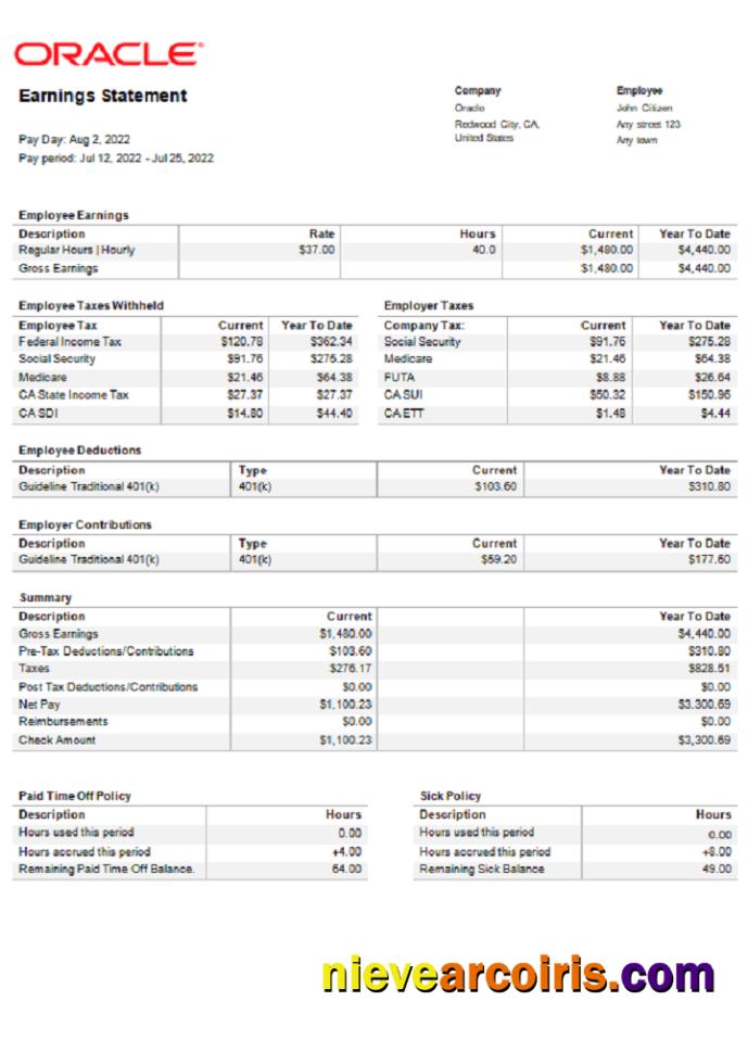 USA Oracle Software Company Pay Stub Sample