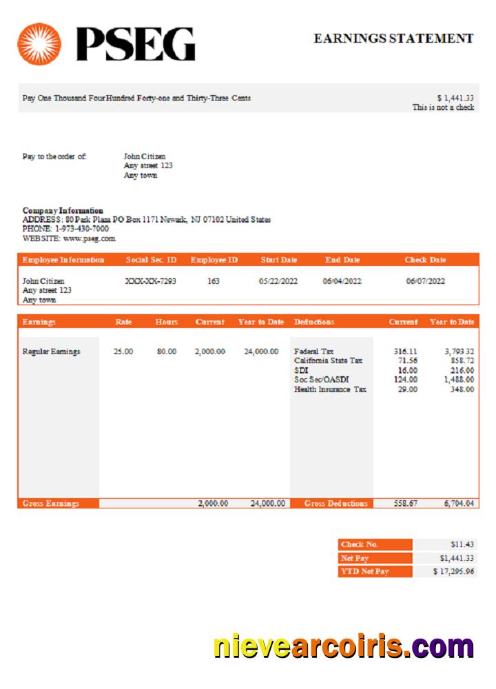 USA PSEG Utilities Company Pay Stub Photolook