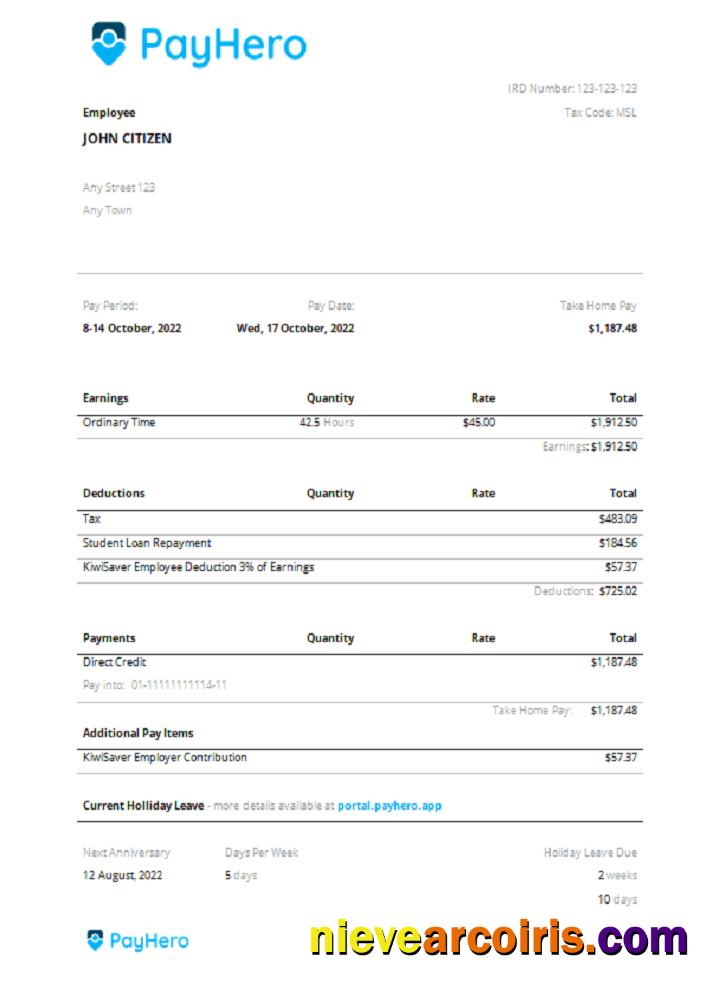 USA PayHero Financial Company Pay Stub Sample
