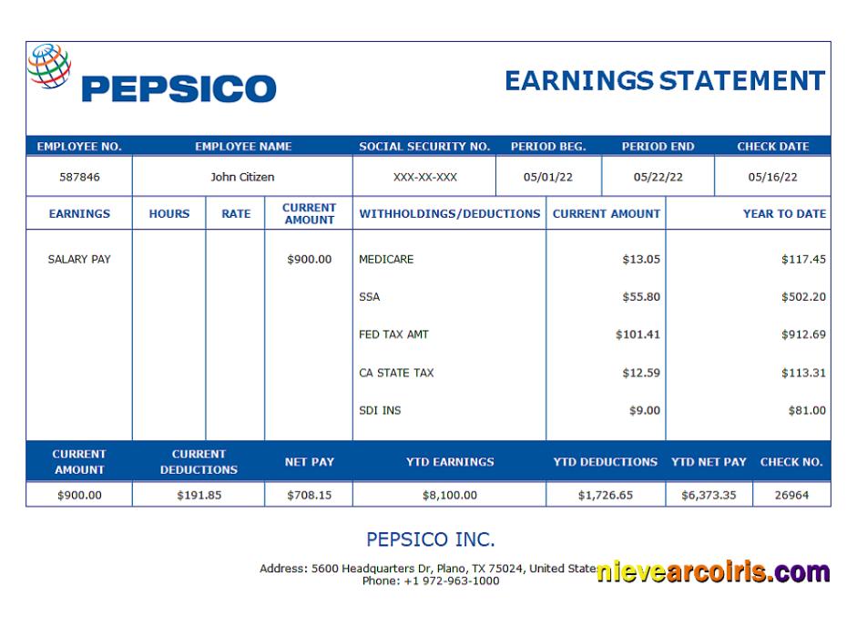 USA Pepsico Inc. Drink Producing Company Pay Stub Photolook