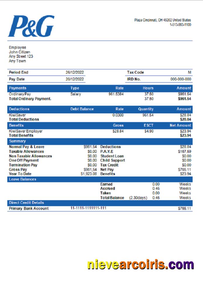 USA Procter & Gamble Consumer Products Company Pay Stub Sample