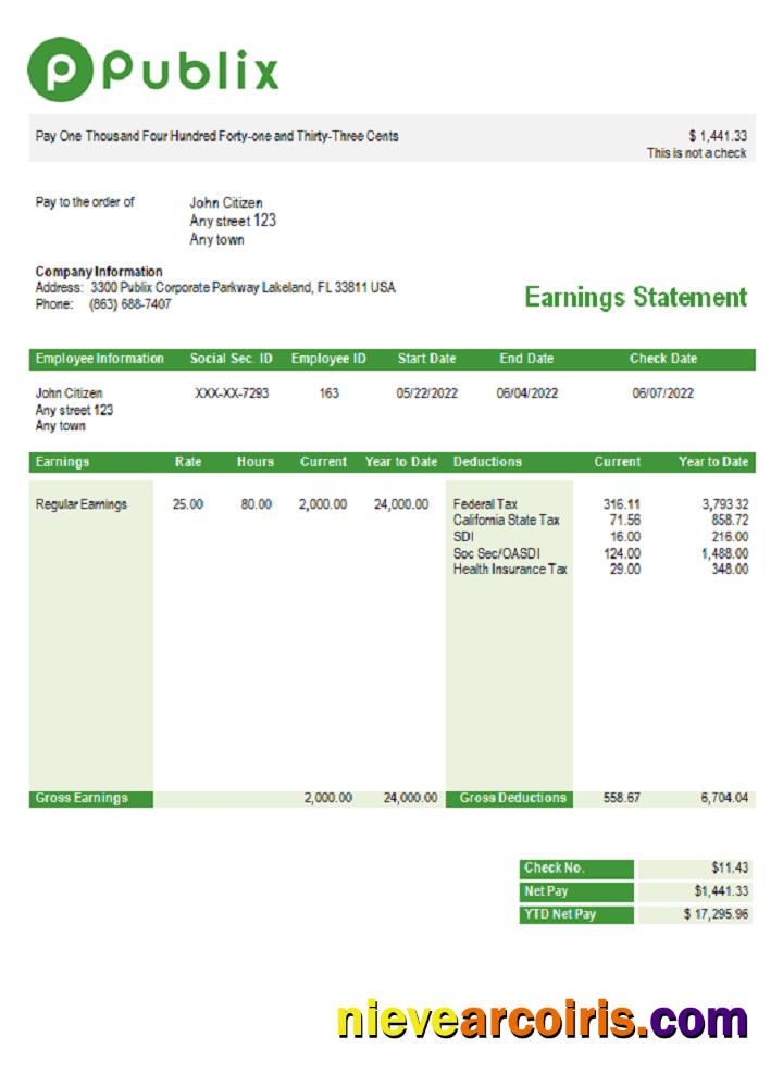 USA Publix Super Markets Inc. Supermarket Company Pay Stub Template