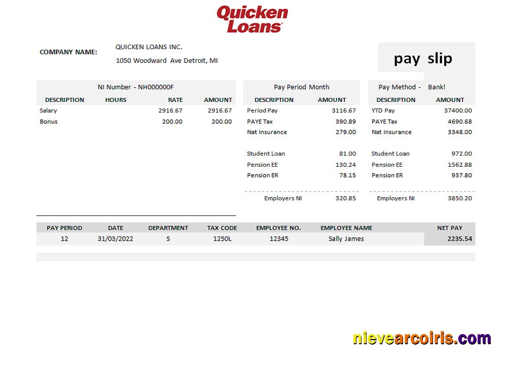 USA Quicken Loans Inc. Mortgage Loan Company Pay Stub Photolook