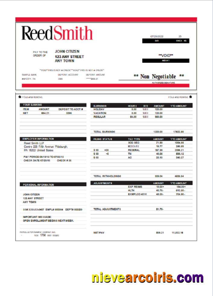 USA Reed Smith LLP Law Company Pay Stub Preview