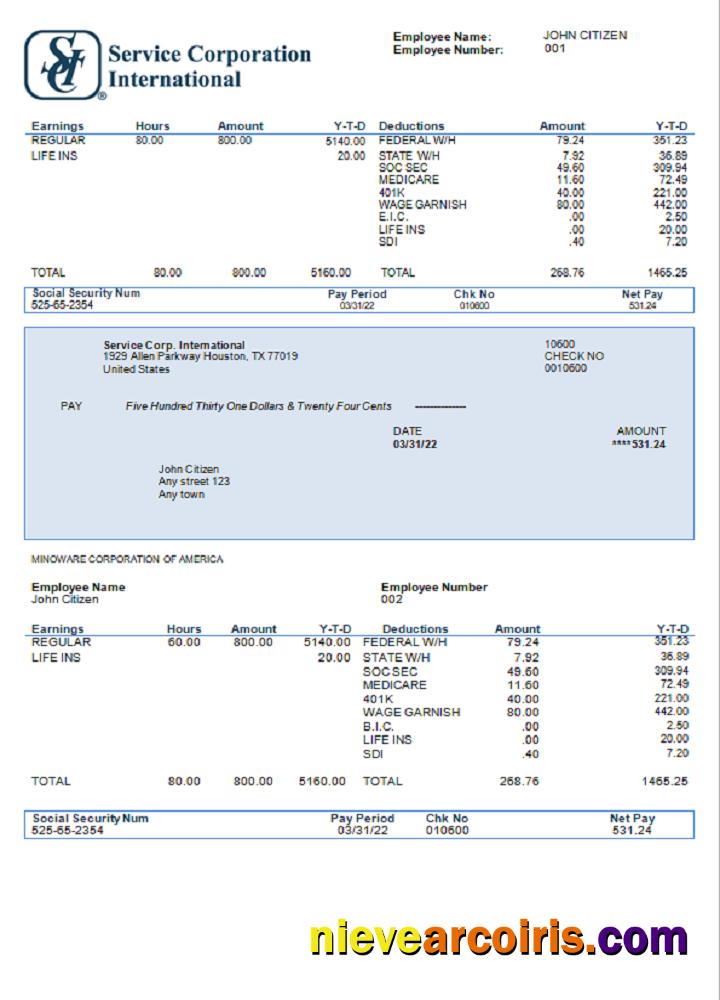 USA Service Corp. International Consumer Discretionary Company Pay Stub Sample