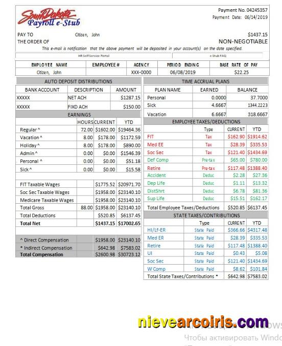 USA South Dakota Payroll E Stub Word And Pdf Template